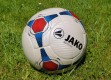 疯狂赛车官网免费版官方版下载-疯狂赛车官网_最新版下载v.7.83.00-安卓版