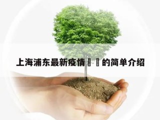 上海浦东最新疫情㊙️的简单介绍