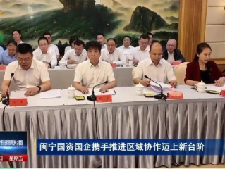 闽宁协作新模式，探索区域合作与可持续发展路径