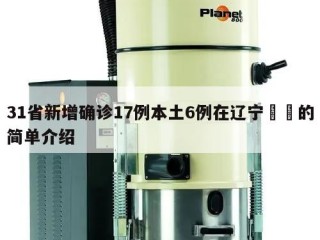 31省新增确诊17例本土6例在辽宁㊙️的简单介绍
