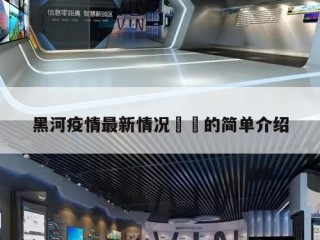 黑河疫情最新情况㊙️的简单介绍