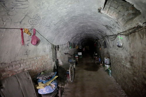 18米深盗洞揭秘，养牛场下的千年古墓之谜